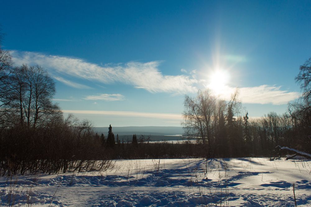 Photograph by Евгения Журавлёва