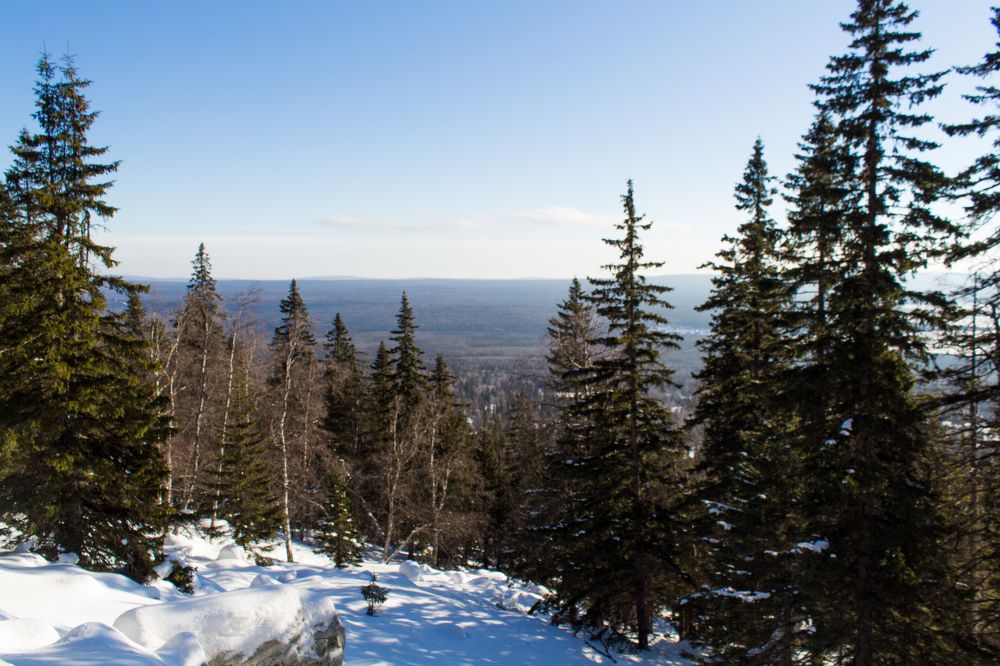 Photograph by Евгения Журавлёва