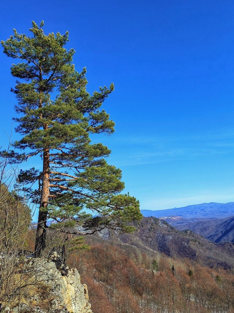 На краю обрыва