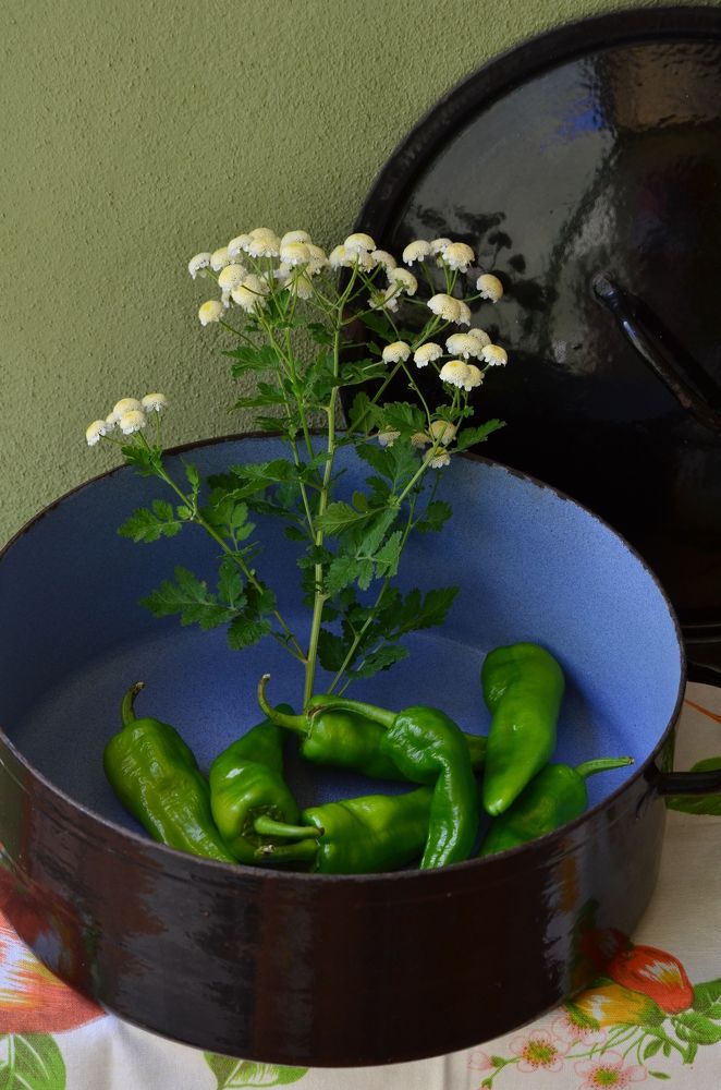 Фотография автора Наталья Елисеева