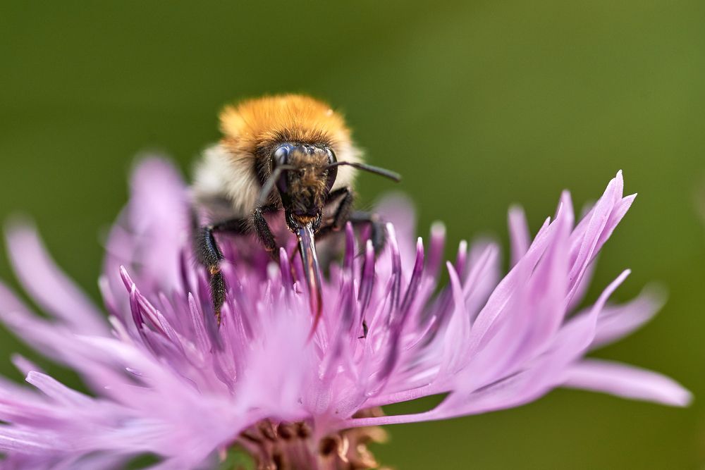 Photograph by Alla Matrosova