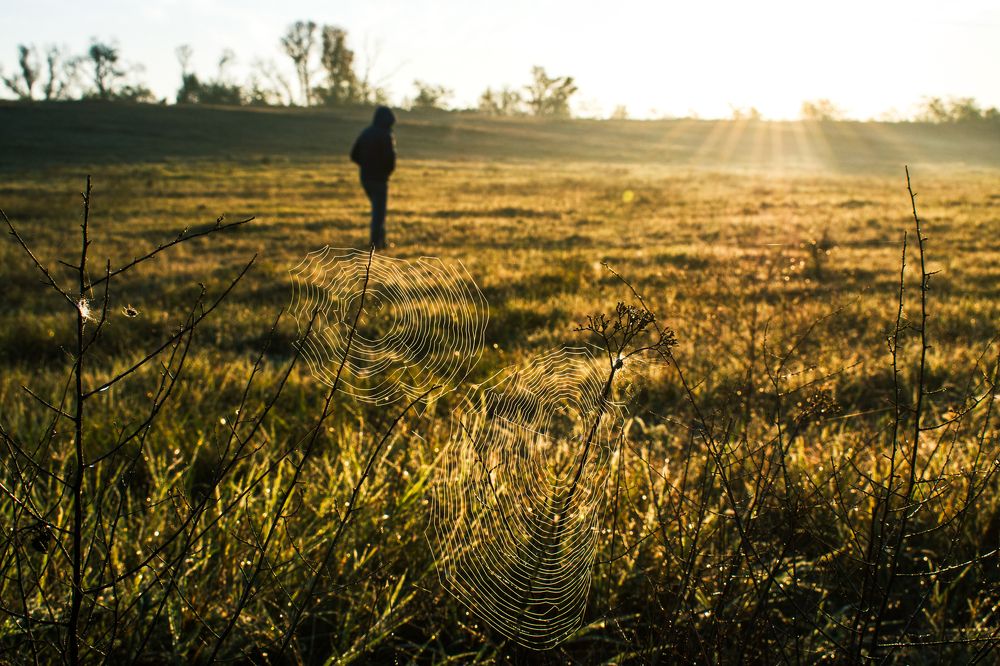 Photograph by Рамзан Давлетмирзаев