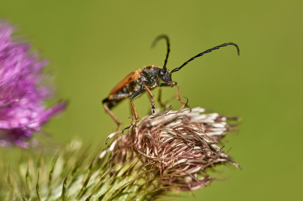 Photograph by Alla Matrosova