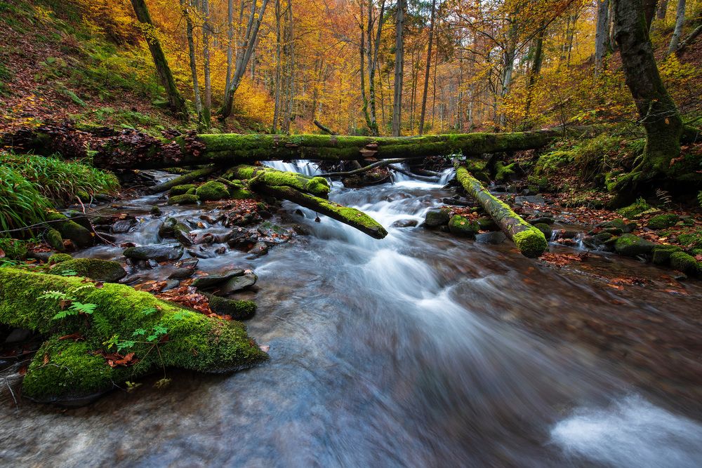 Фотография автора Иван Думишинец