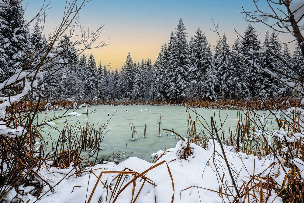 Photograph by Dejan Mržljak