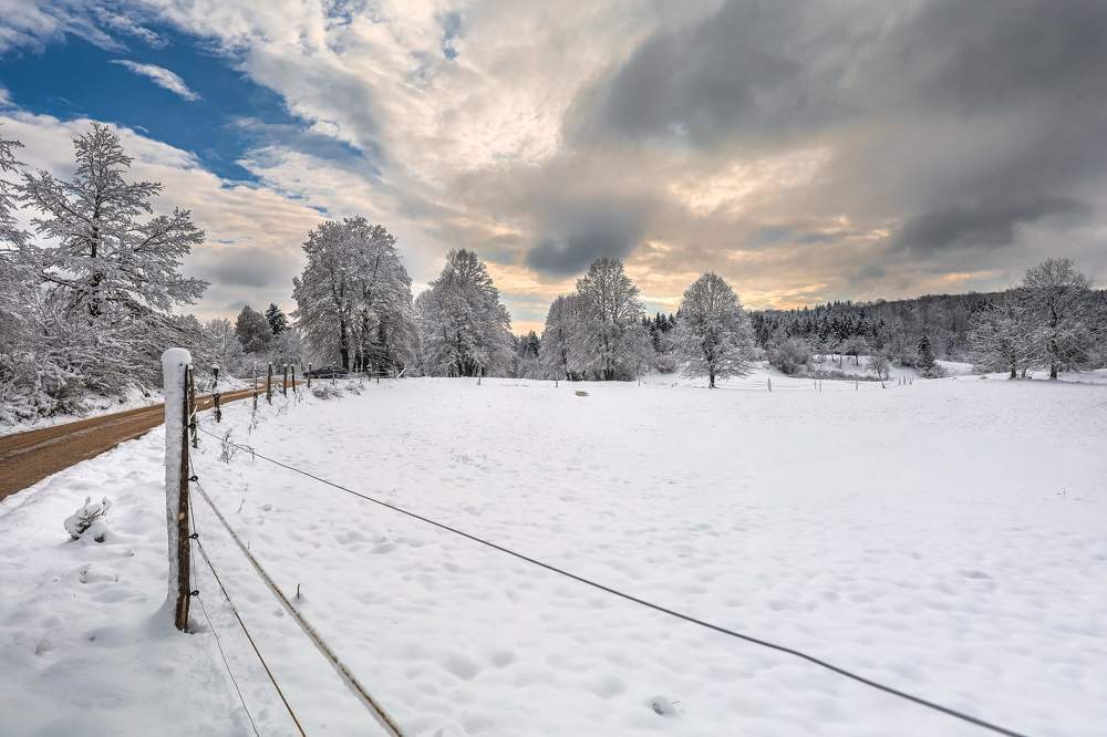 Photograph by Dejan Mržljak