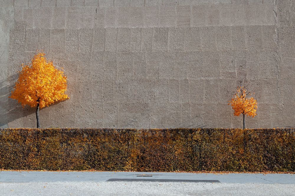 Photograph by Nino Mghebrishvili