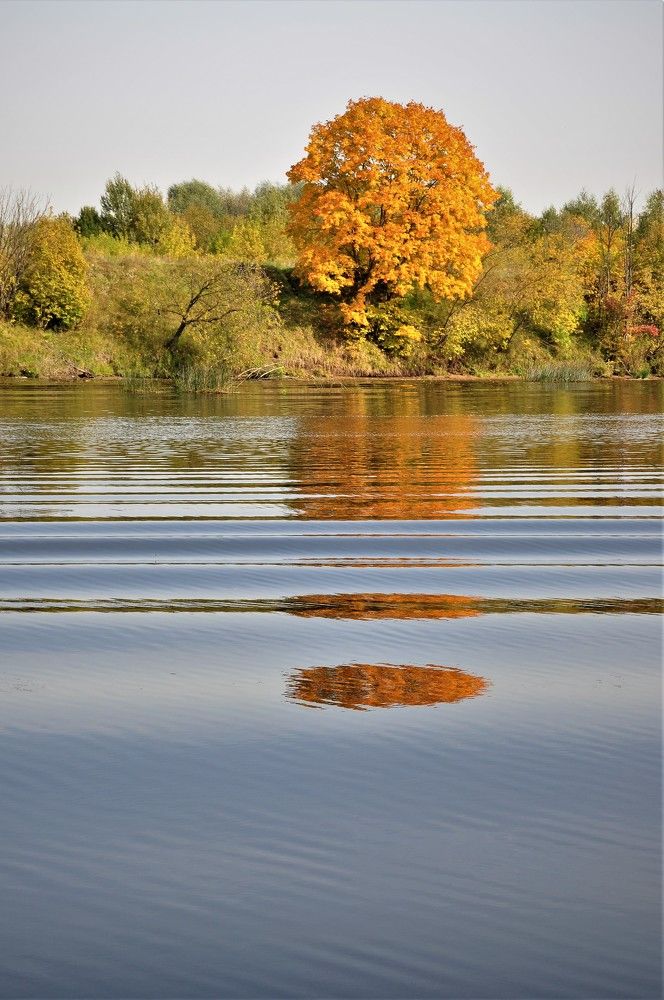 Photograph by Юлия Лис-а