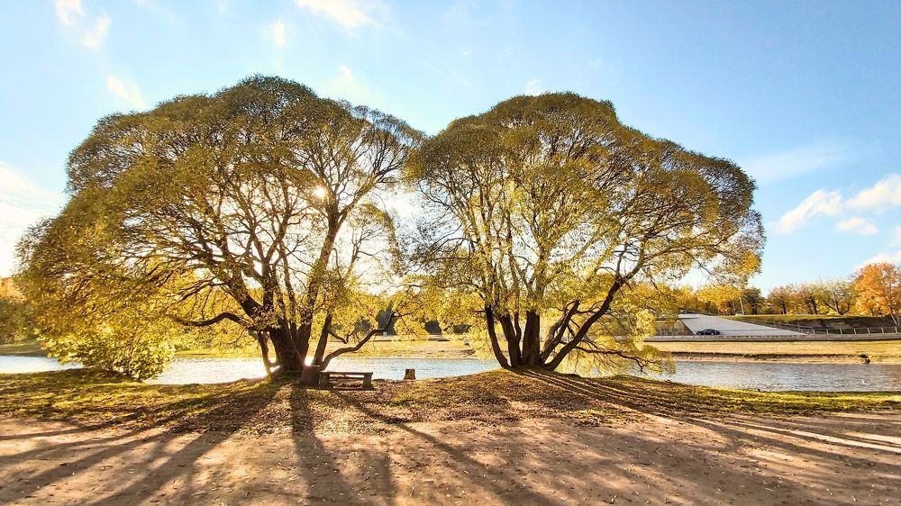 Photograph by Alla Matrosova