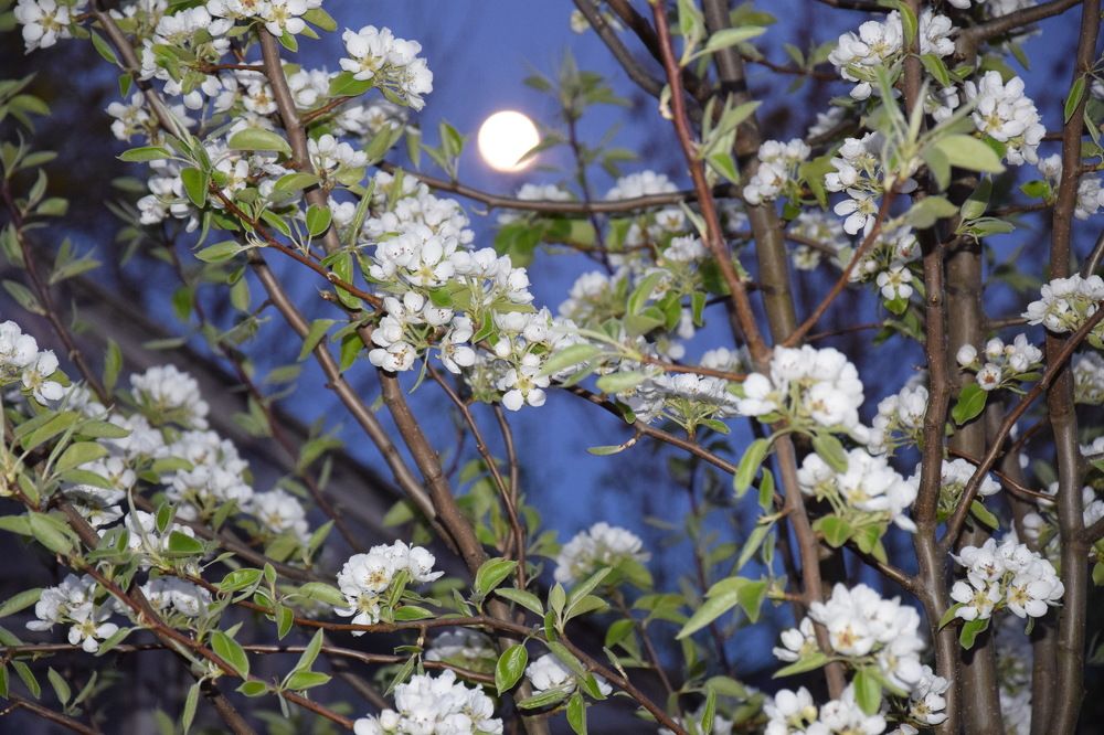 Photograph by Jolanta Zutiene