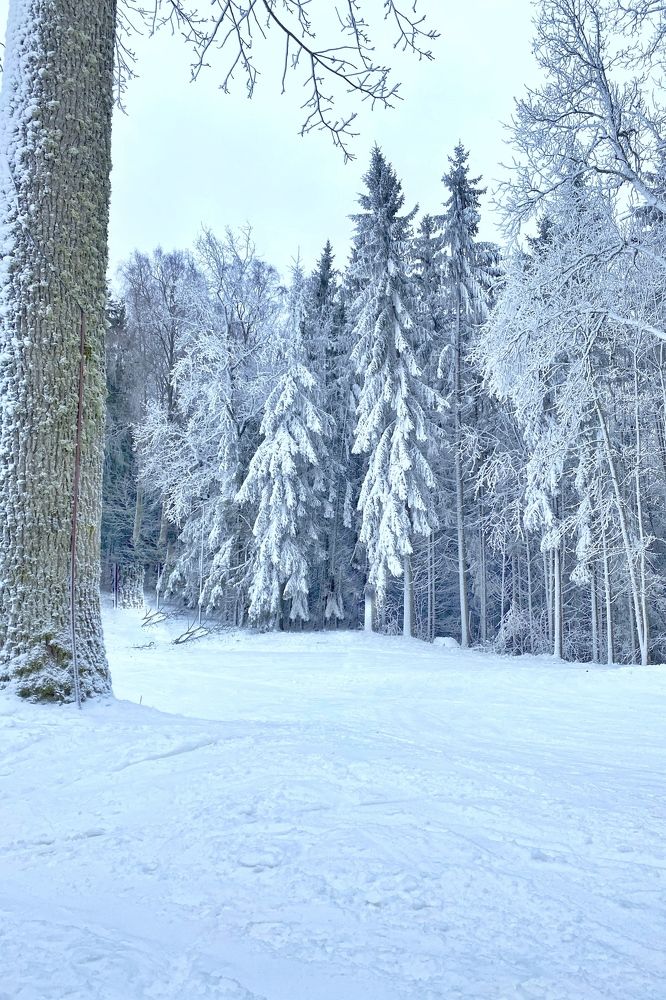 Photograph by Jevgenijs Isajevs