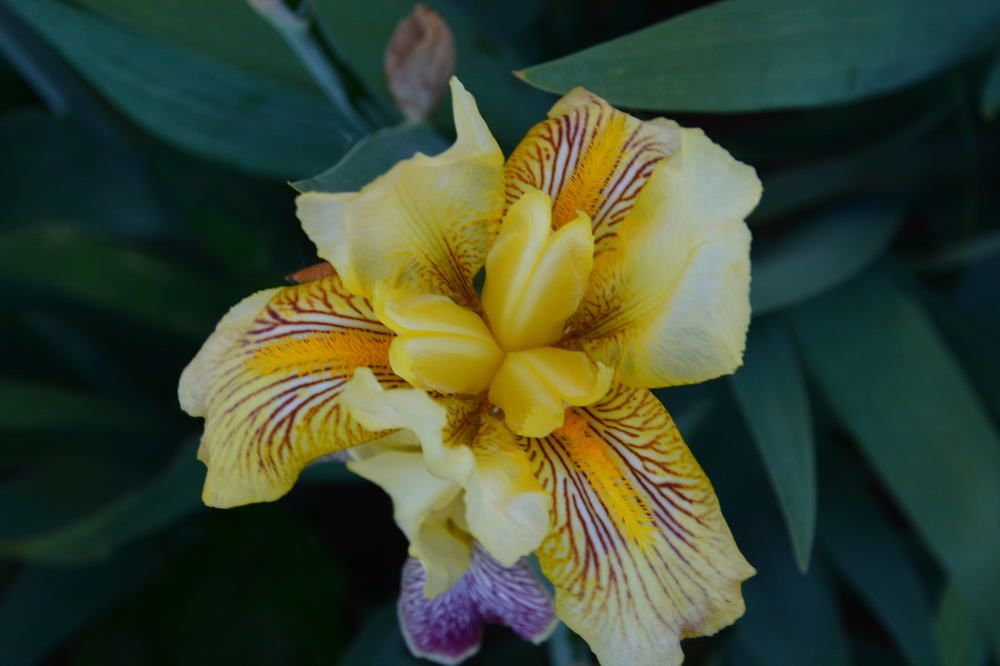 Photograph by Helena Lugowska