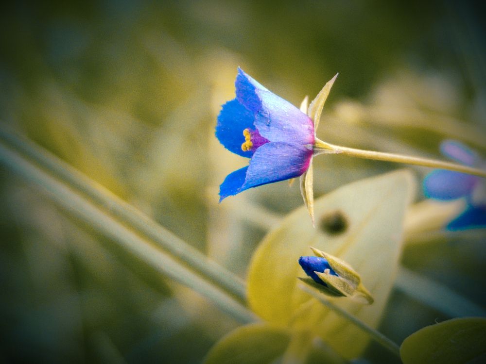 Photograph by Manish Yadav