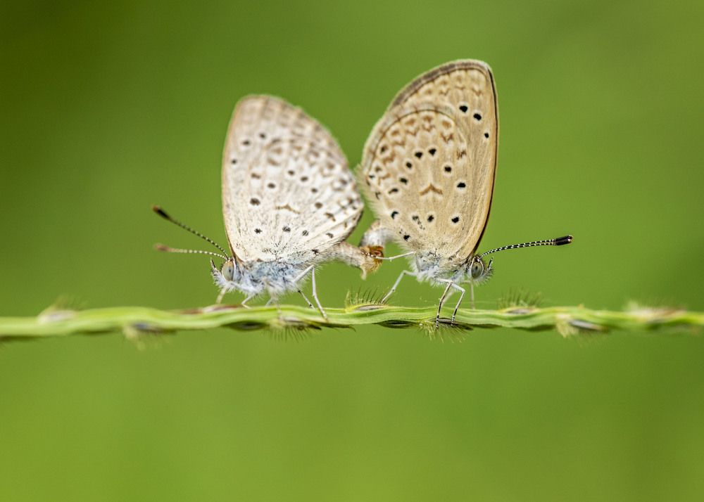 Photograph by Ricardo Ferreira