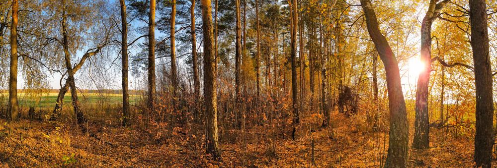 Photograph by Светлана Кондрашова