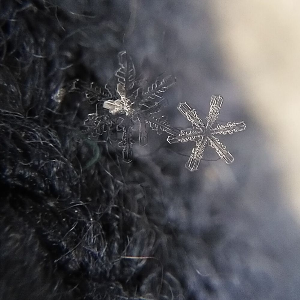 Photograph by Александра Лукашевич