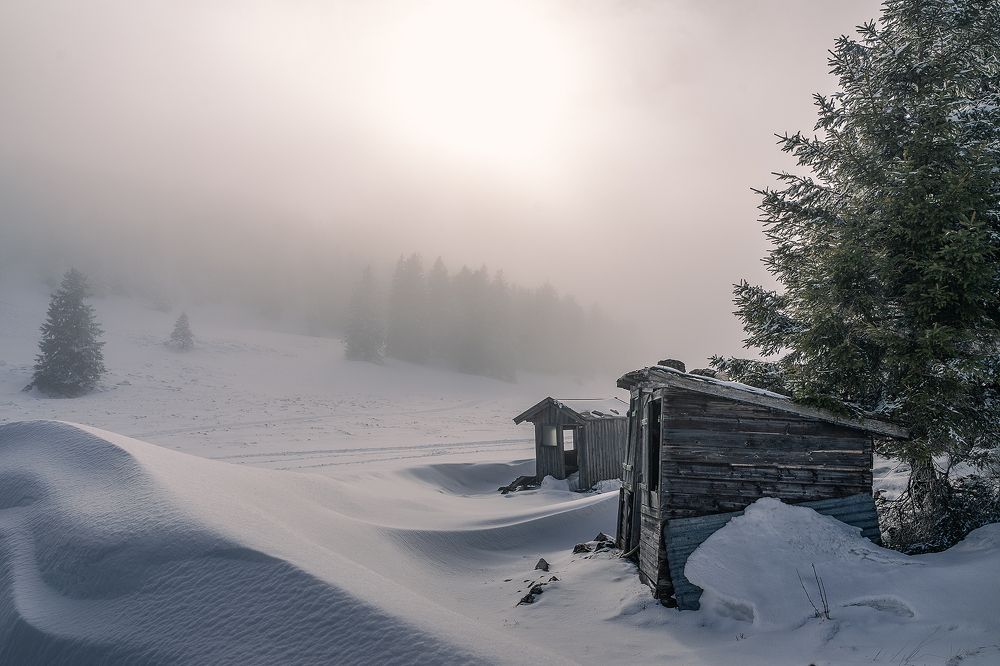 Photograph by Олег Мильбергер