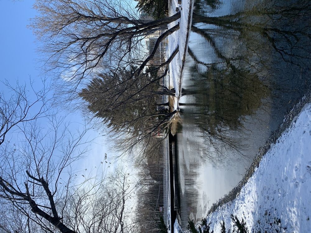 Первый снег