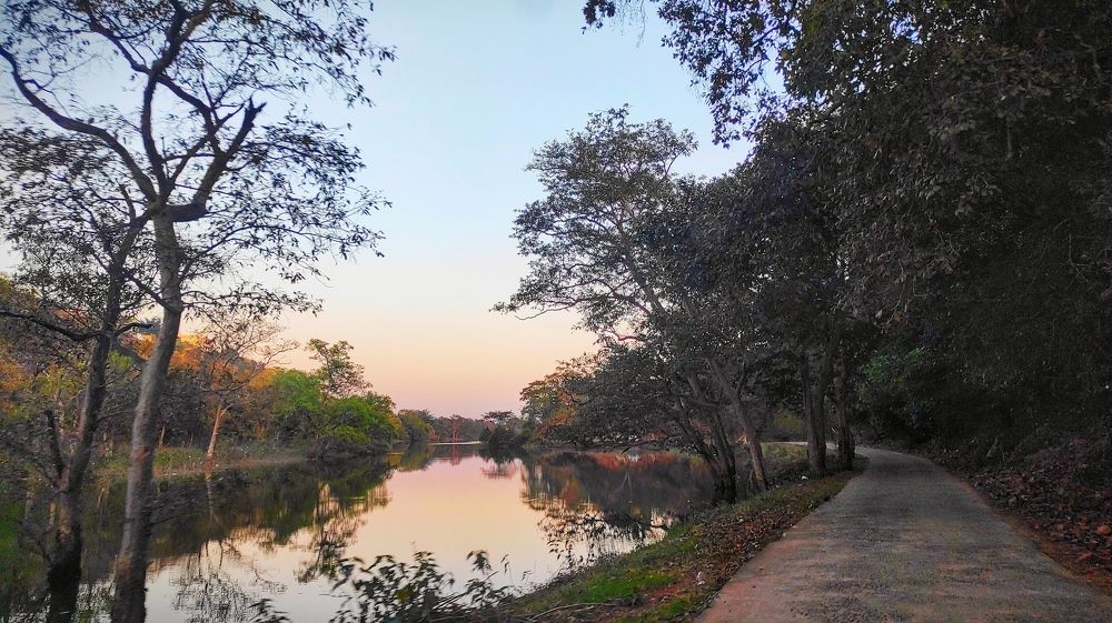 Фотография автора Parag Purkar