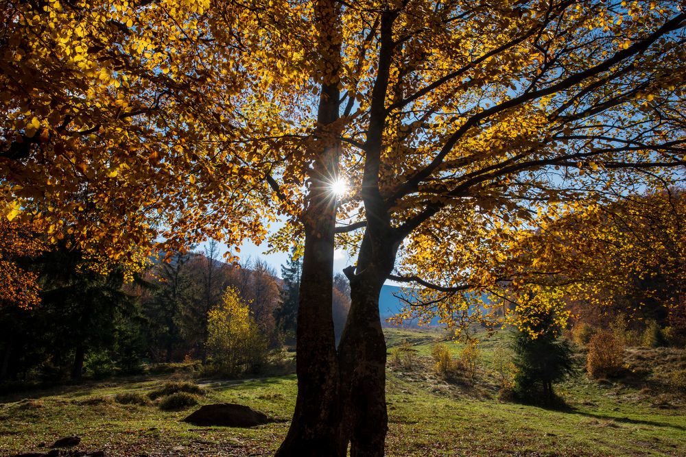 Фотография автора Иван Думишинец