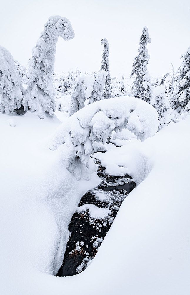 Photograph by Евгений Бушков