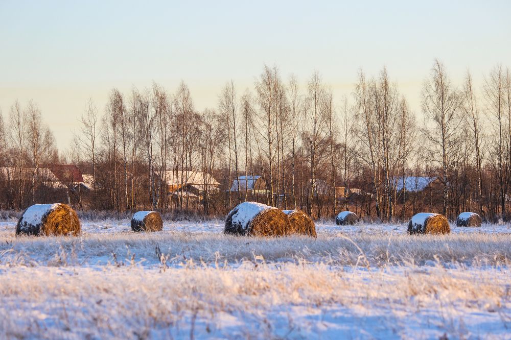 Photograph by Елена Верховская
