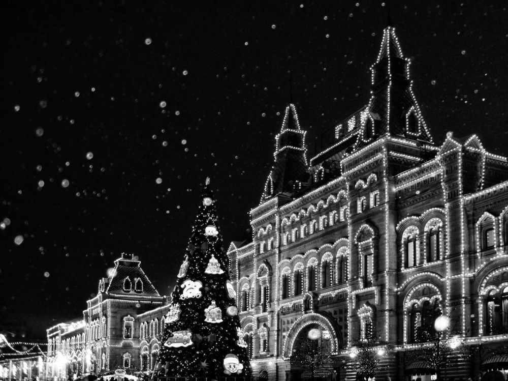 Photograph by Людмила М