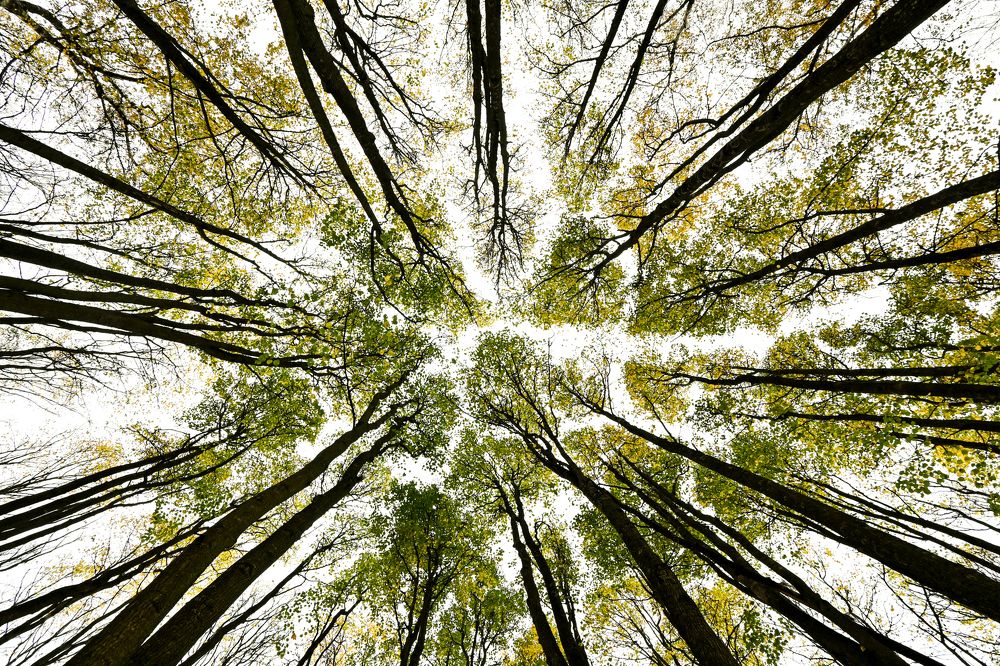 Photograph by Анастасия Долгова