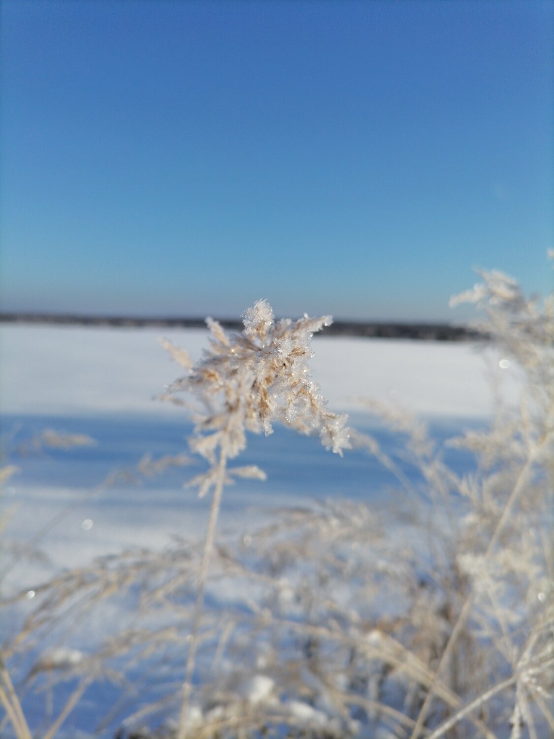 Photo #5639101