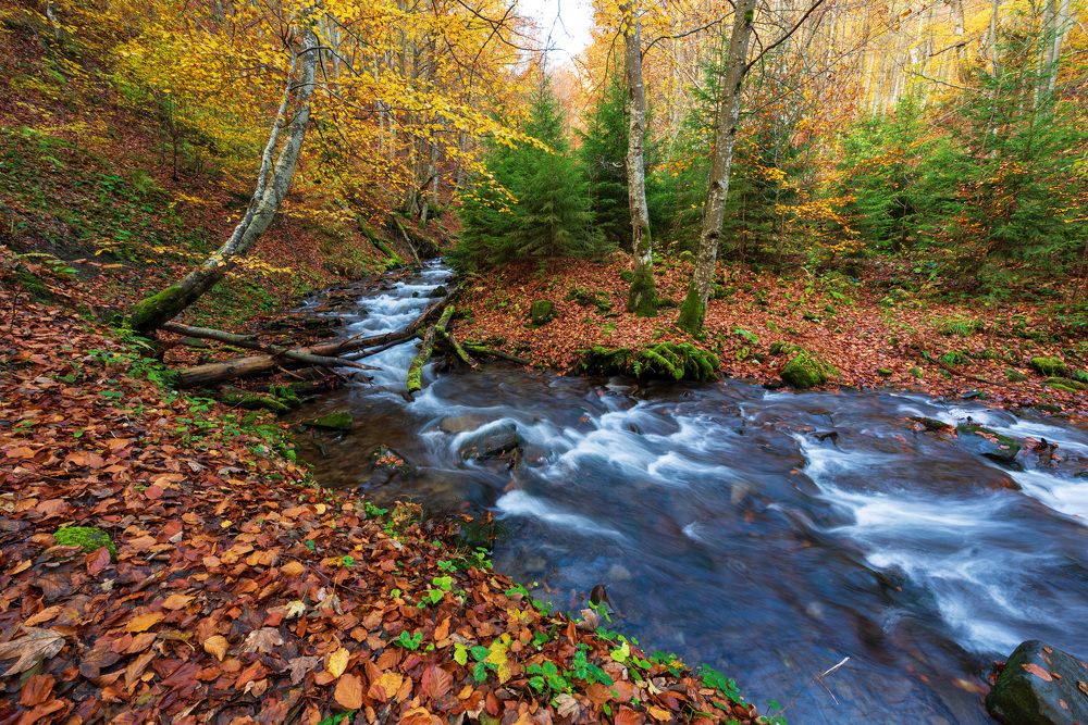 Фотография автора Иван Думишинец
