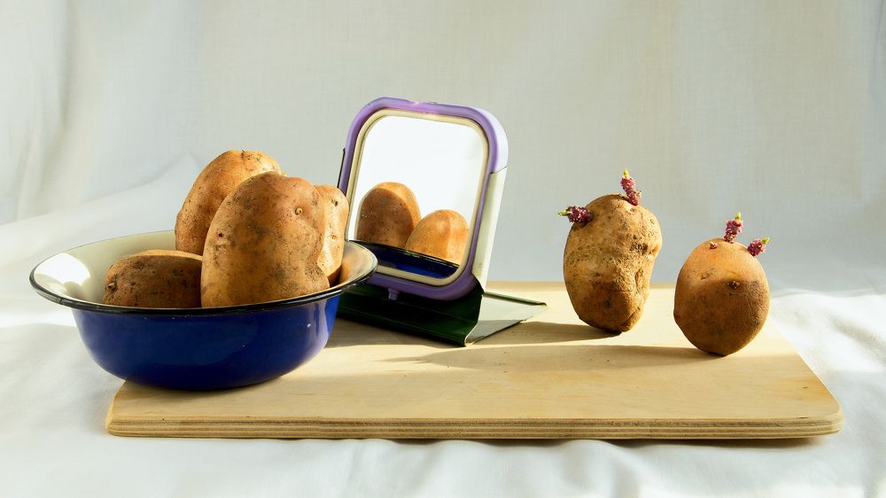 Просыпайтесь, братья! Скоро весна!