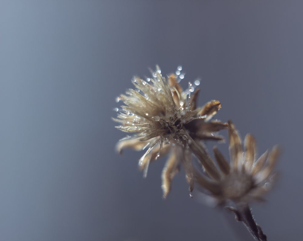 Photograph by Анастасия Пипко