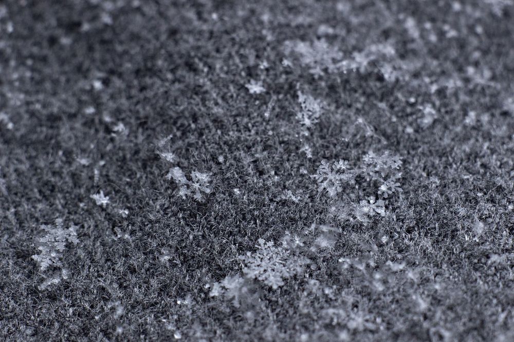 Photograph by Анастасия Пипко