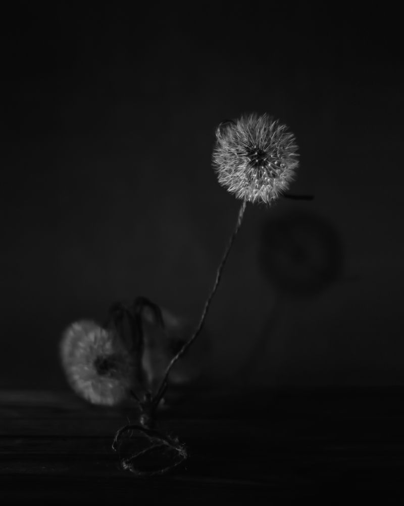 Photograph by Наталья Иванова