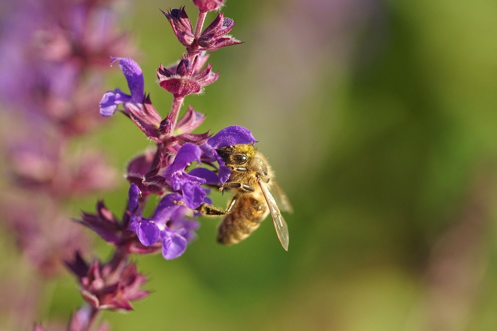 Photograph by Вероника Кочадыкова