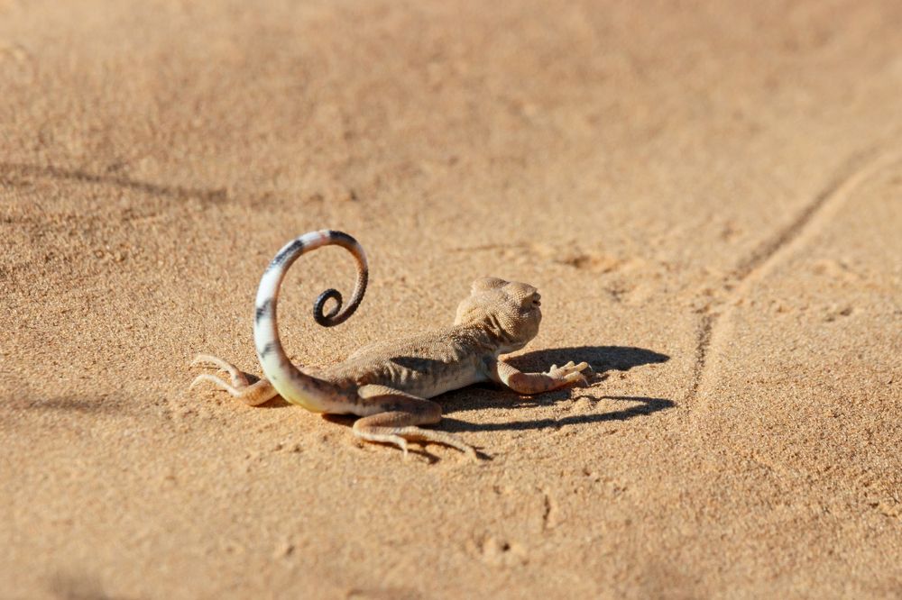 Photograph by Антон Мироненко-Маренков