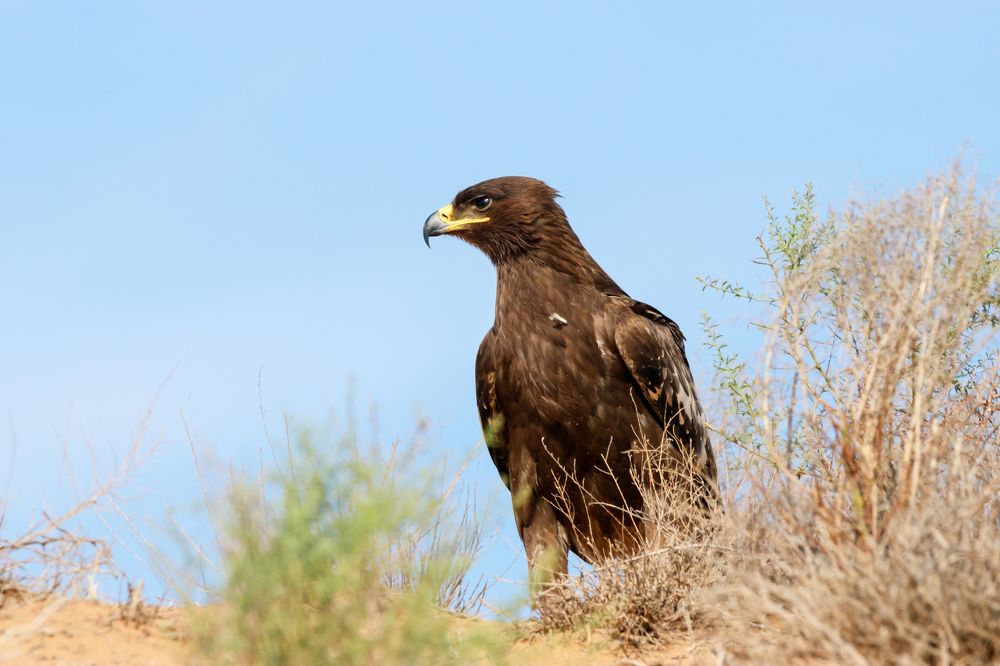 Photograph by Антон Мироненко-Маренков