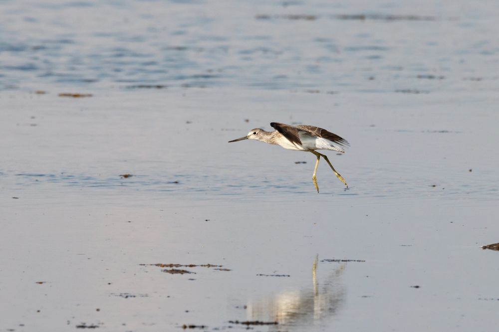 Photograph by Антон Мироненко-Маренков