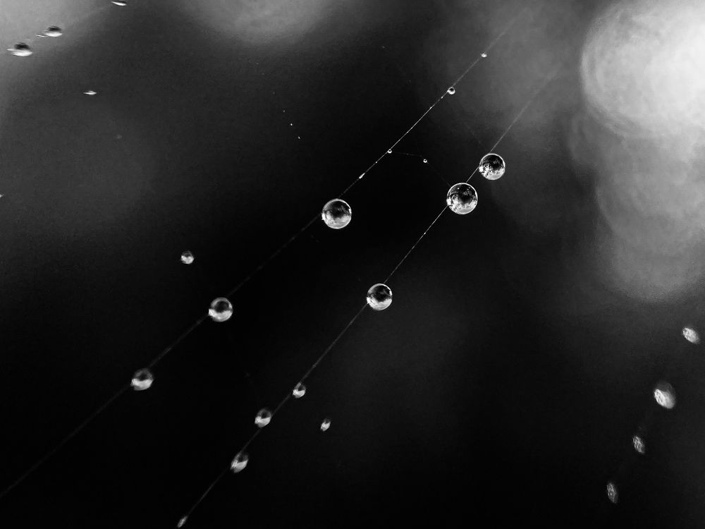 Photograph by Андрей Косяк