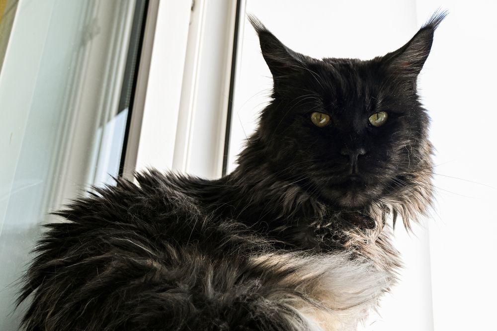 Photograph by Анастасия Долгова