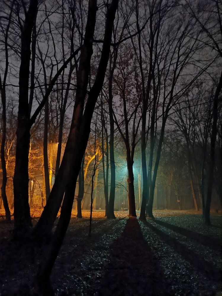 Shadows in the night.