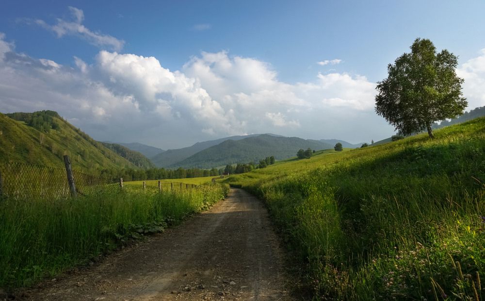 Photograph by Slesareva Nina