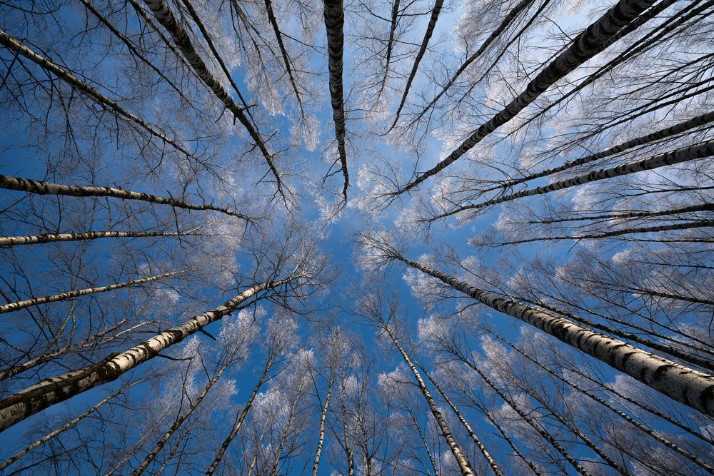 Photograph by Илья Меркулов