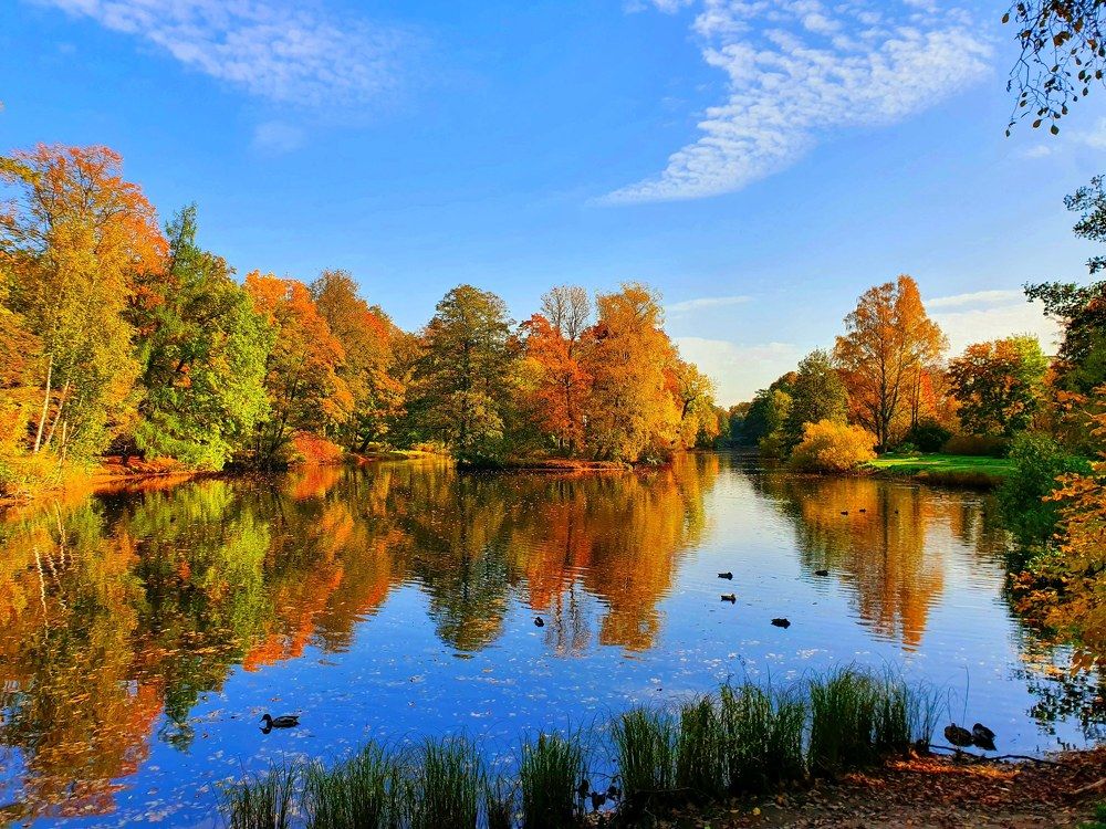 Золотая осень.