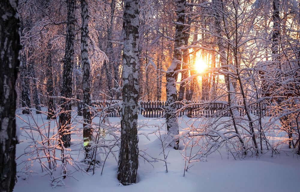 Photograph by Slesareva Nina