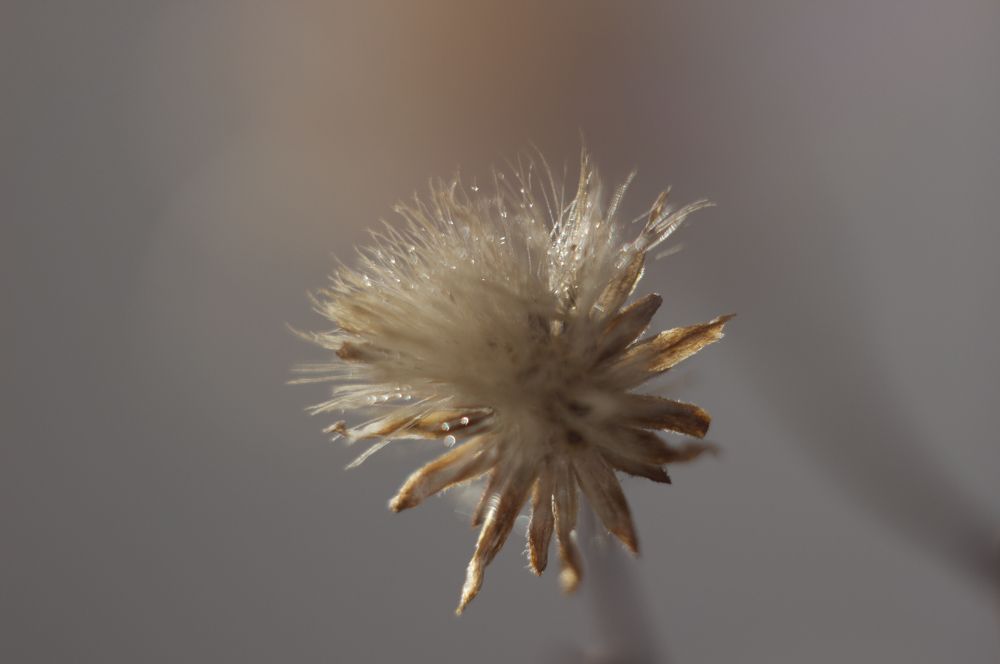 Photograph by Анастасия Пипко