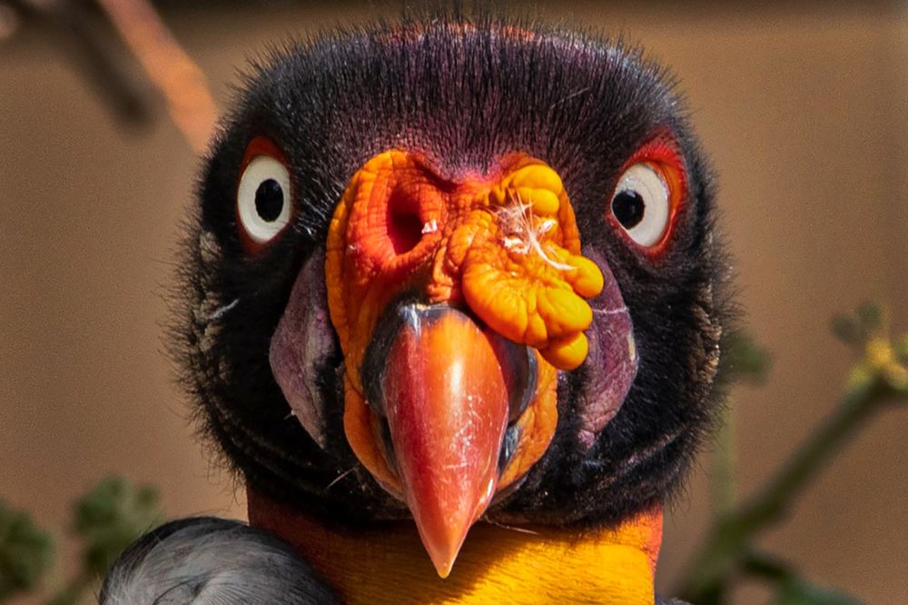 Photograph by Georgiades Socratis