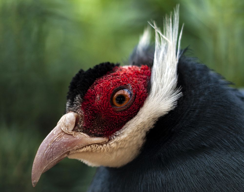 Photograph by Georgiades Socratis