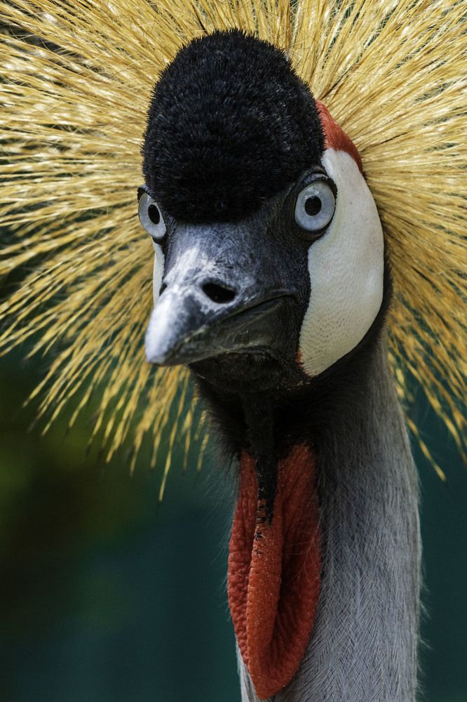 Photograph by Ricardo Ferreira