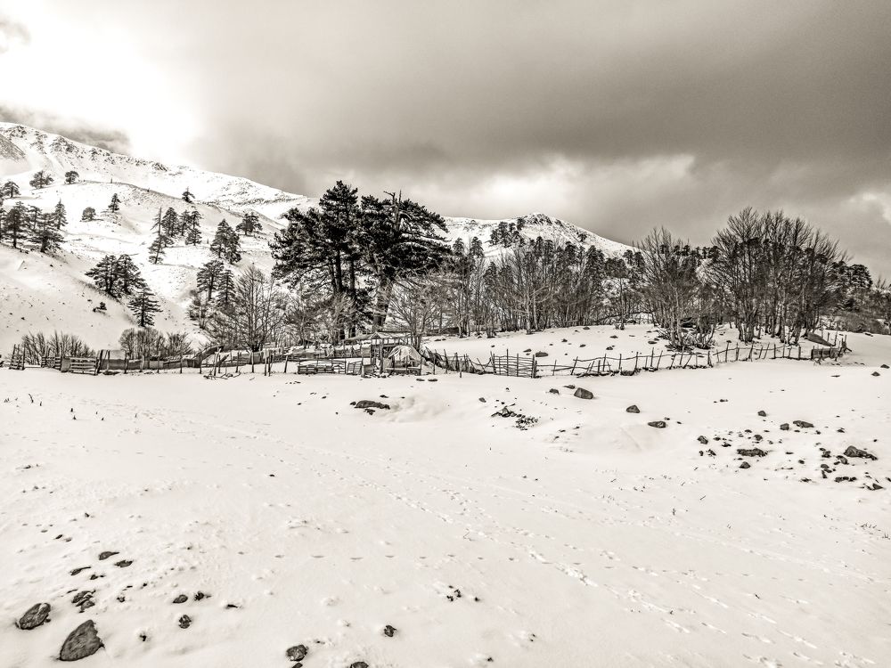 Photograph by Nikos Karatolos